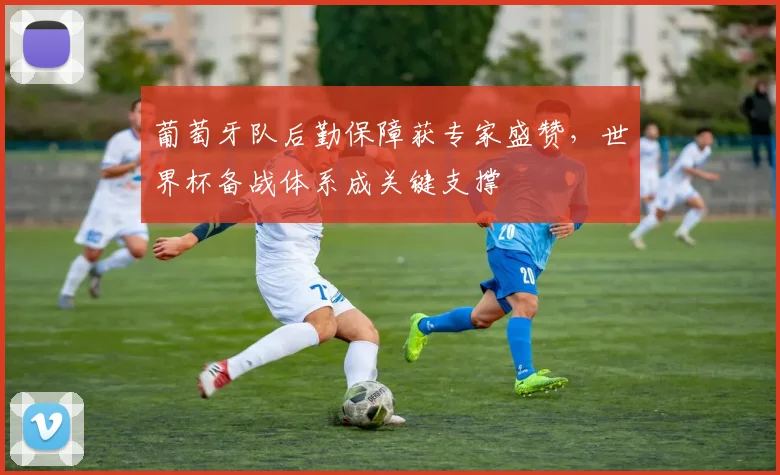 葡萄牙队后勤保障获专家盛赞，世界杯备战体系成关键支撑