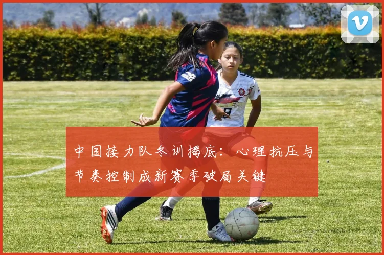 中国接力队冬训揭底：心理抗压与节奏控制成新赛季破局关键