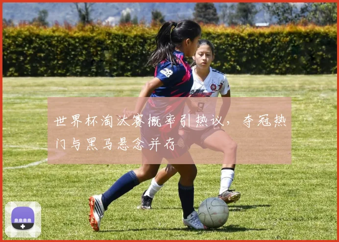 世界杯淘汰赛概率引热议，夺冠热门与黑马悬念并存