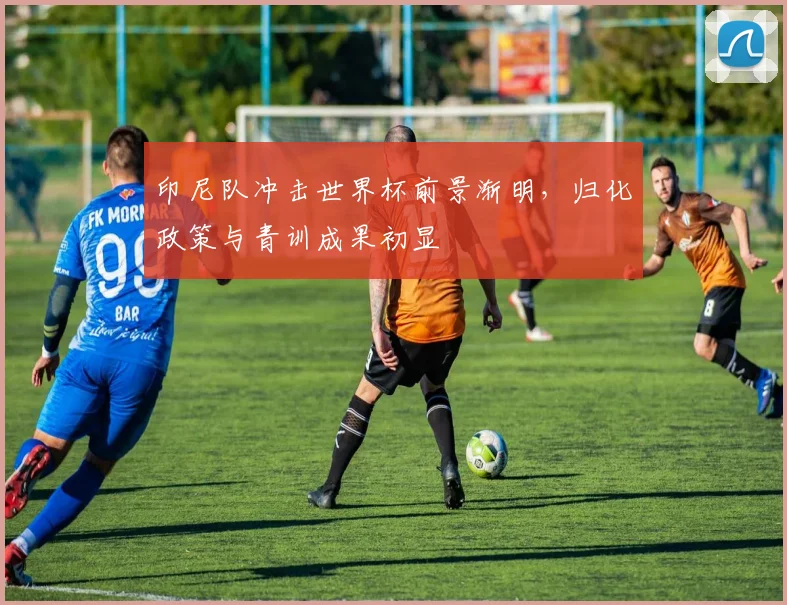 印尼队冲击世界杯前景渐明，归化政策与青训成果初显