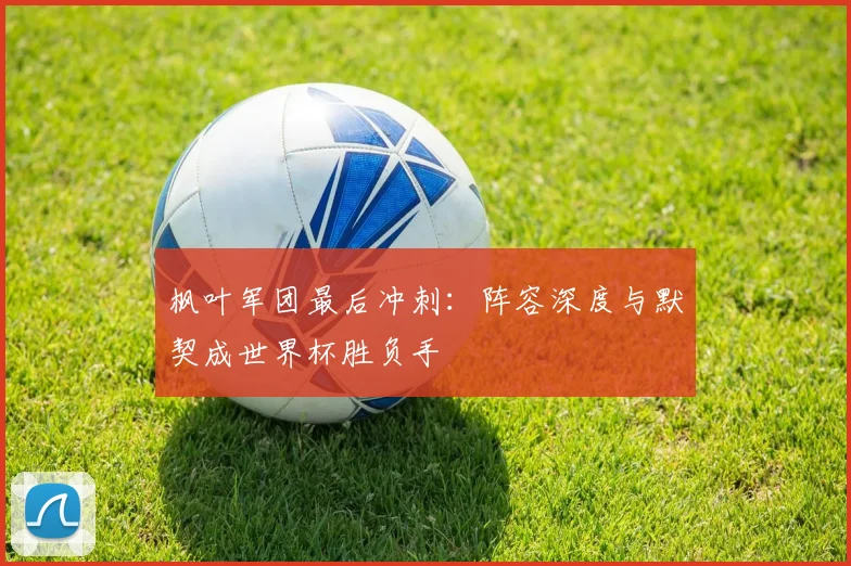枫叶军团最后冲刺：阵容深度与默契成世界杯胜负手