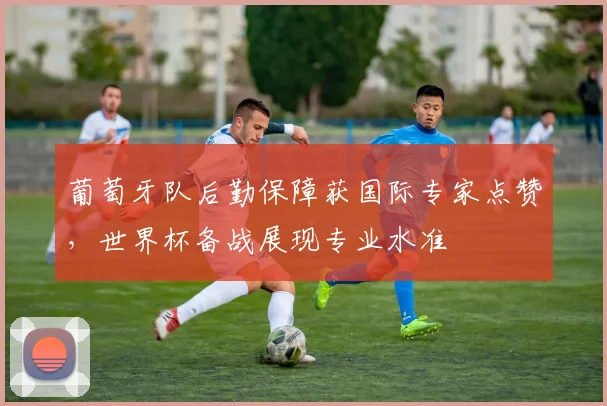 葡萄牙队后勤保障获国际专家点赞，世界杯备战展现专业水准